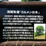 日本初のカラー映画撮影現場「カルメンの木」。浅間牧場茶屋の裏手は「白糸の滝」へ続くハイキングコース。「丘を越えて」の碑も。