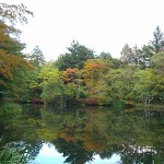 【雲場池】（※写真多数）軽井沢観光には欠かせない「名スポット」。